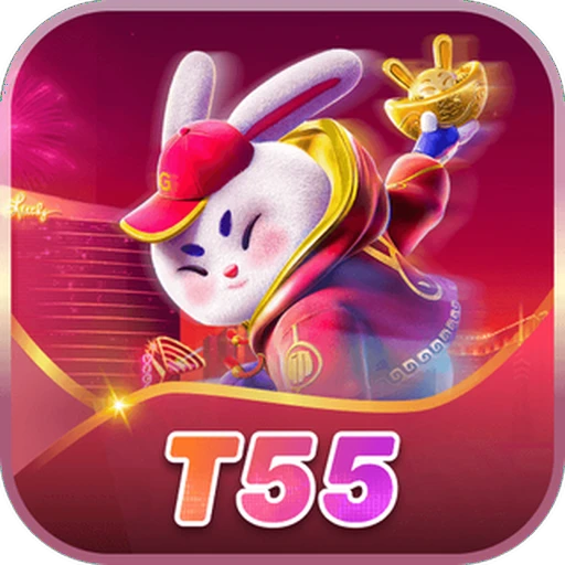 T55.COM